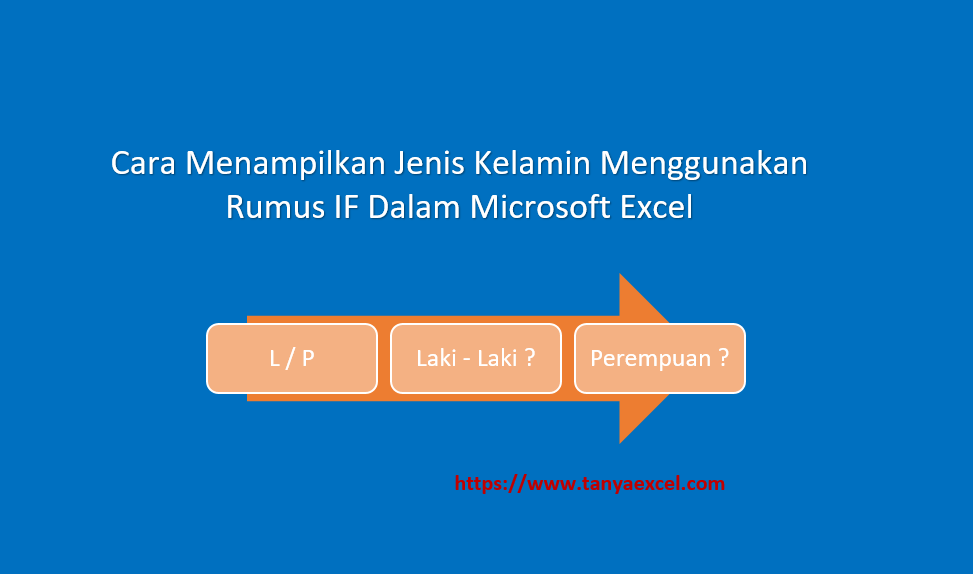 Menampilkan Jenis Kelamin Dalam Excel Dengan Rumus IF